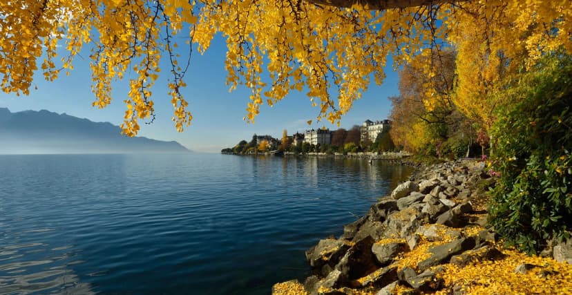 Acheter une Maison à Montreux